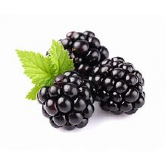 Blackberry fragrant oil