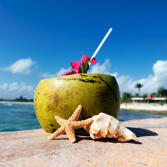 Carribean coconut fragrant oil