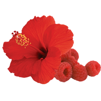 Fragrance Framboise hibiscus
